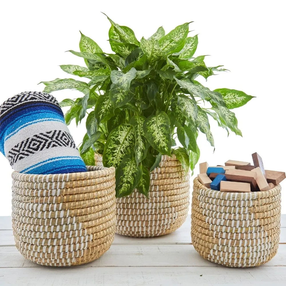 10" Small Grass Ribbon Planter Shelf Basket