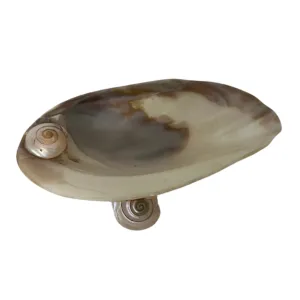 Antique Shell Footed Iridescent Dish