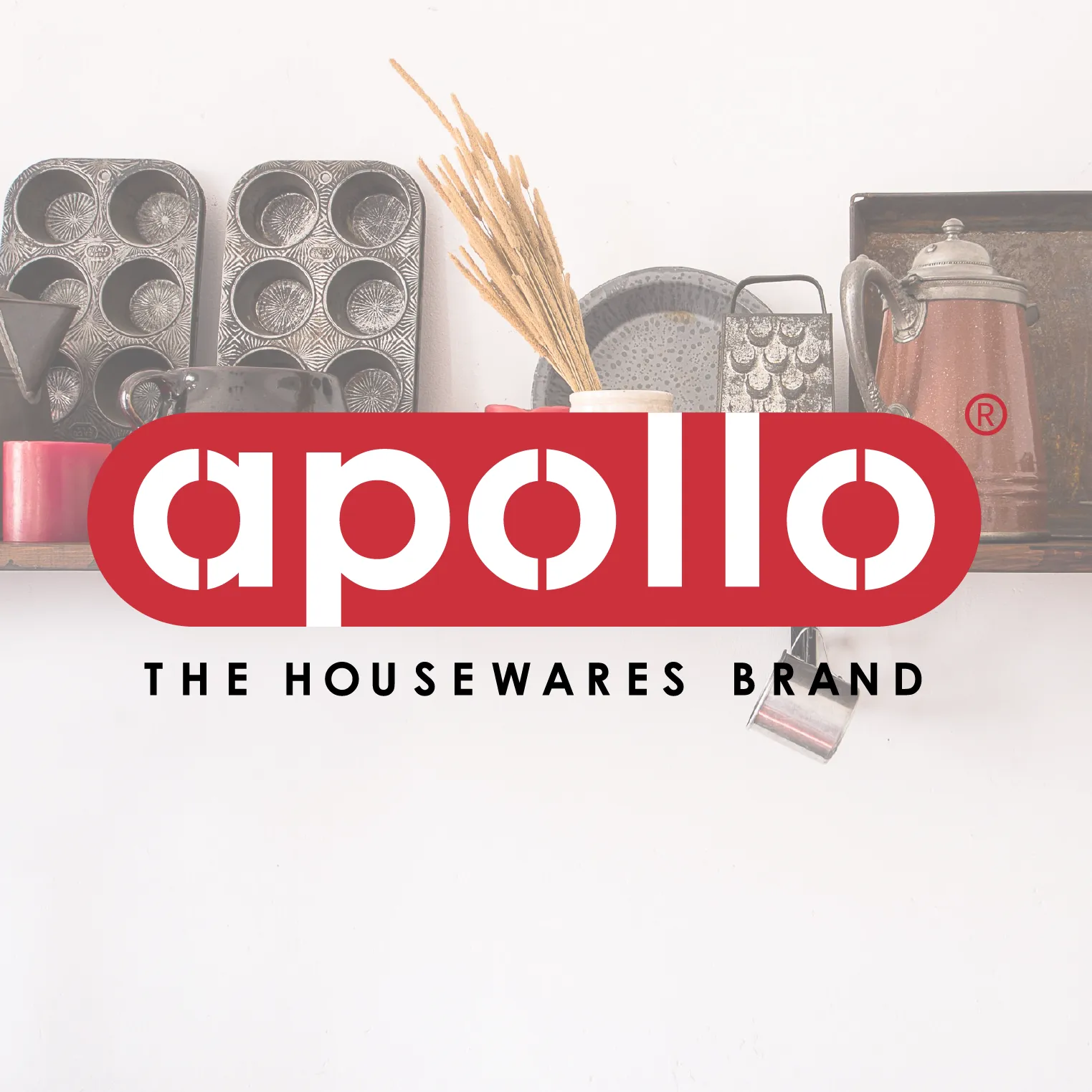 Apollo Housewares Clipseal Spice Jars Pack Of 4