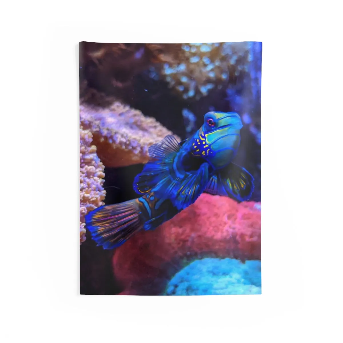 Blue Fish Indoor Wall Tapestries