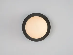 Charcoal grey opal disk wall light