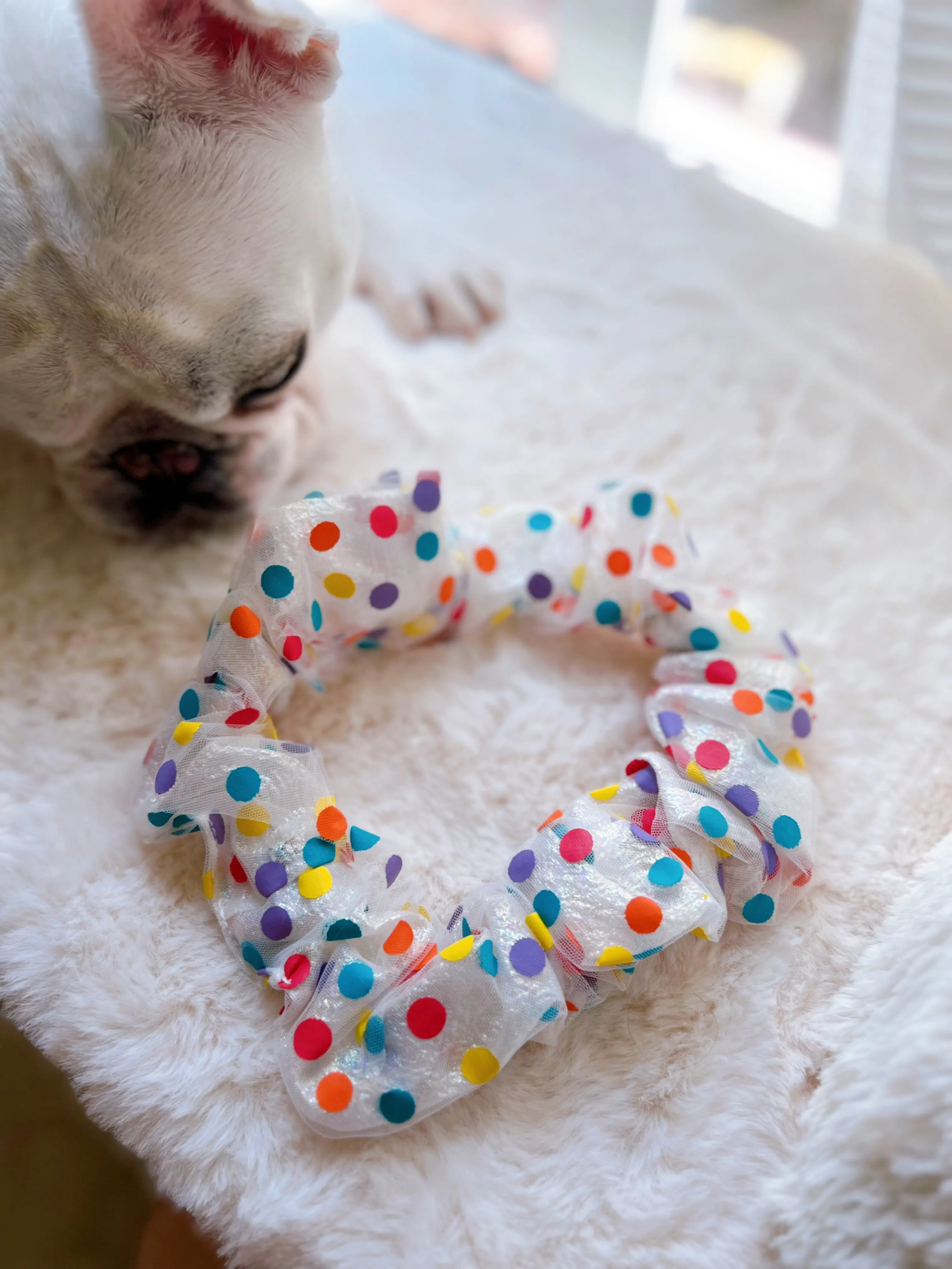 Colorful LED Glowing Neckband Bandana Collar