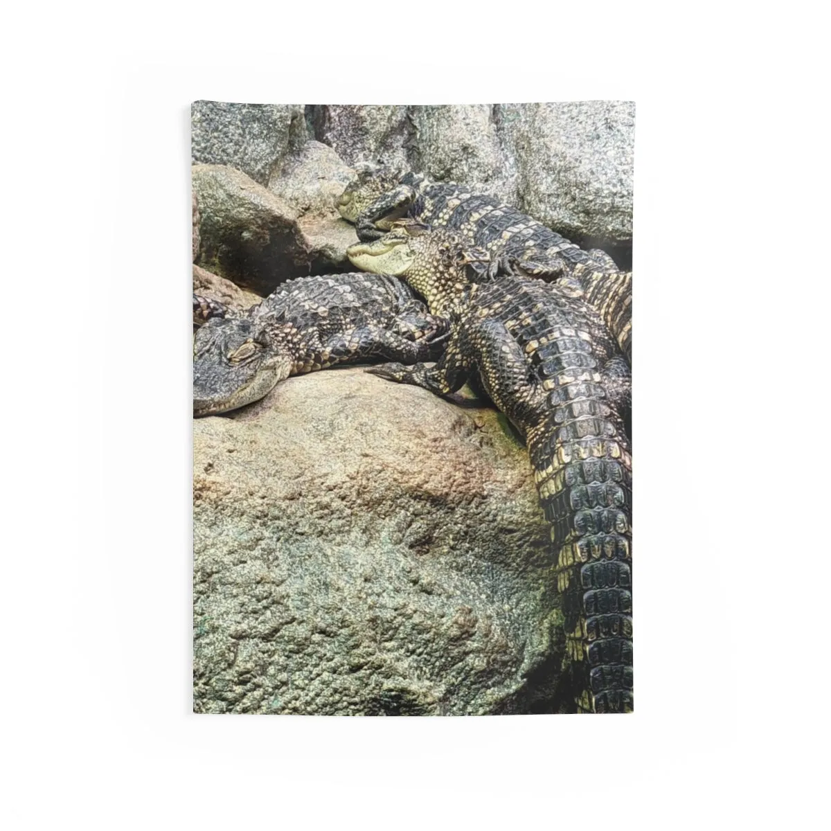 Crocodiles Indoor Wall Tapestries