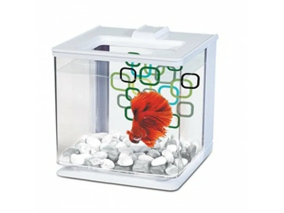 Marina Betta Kit 2.5L - White