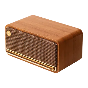 MP230 Portable Bluetooth Speaker