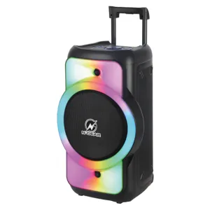 N-Gear JUKE 12 LPG Portable Karaoke Speaker BT/USB/Mic