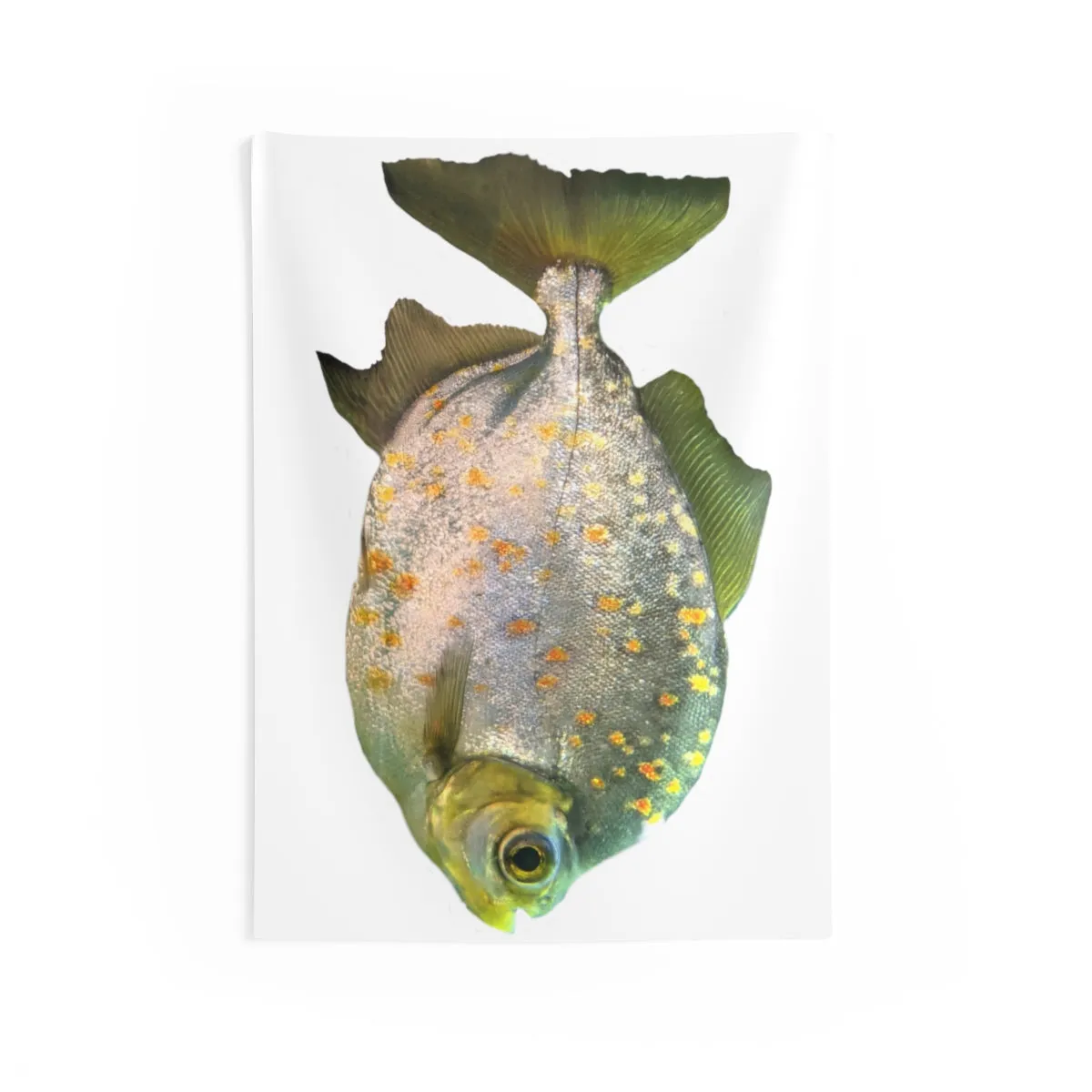 Silver Fish with Specs Indoor Wall Tapestries