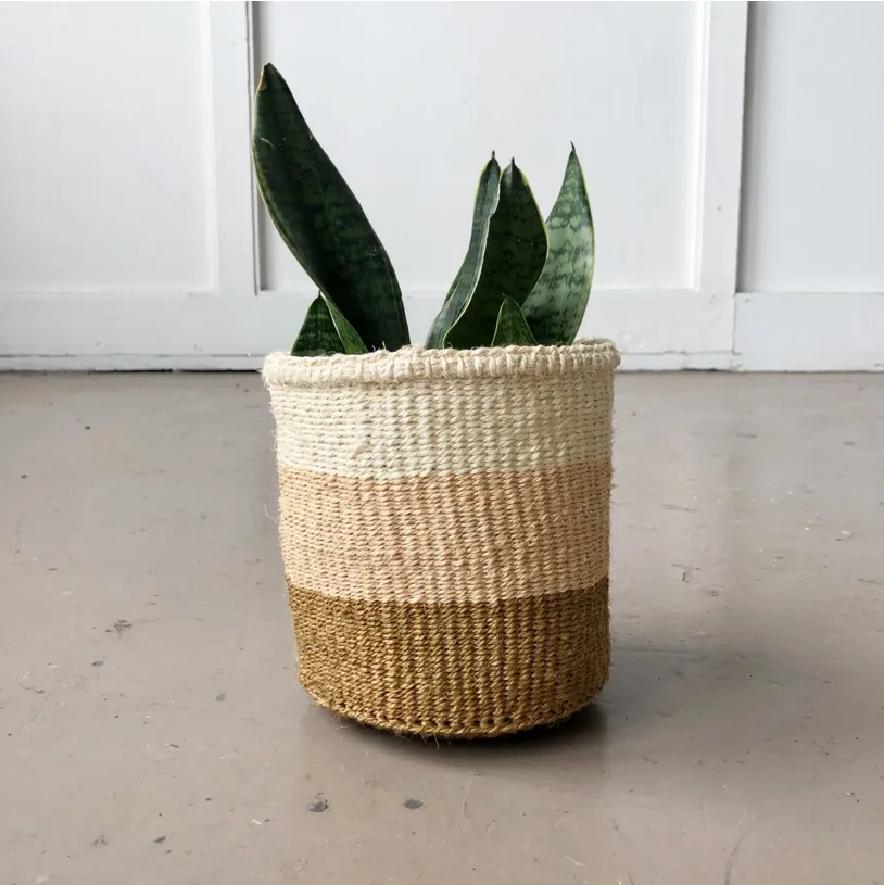 Storage Basket: Coconut